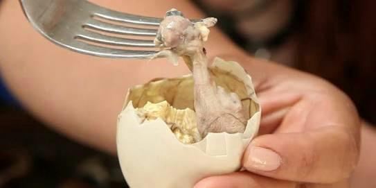 Balut yiyen insanlar hakkında ne düşünüyorsunuz??