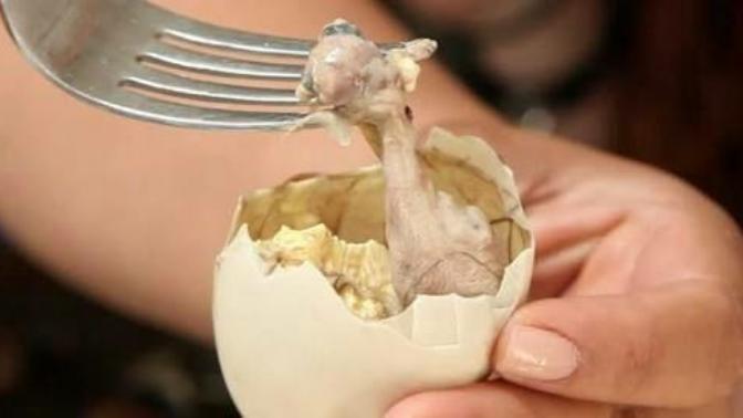 Balut yiyen insanlar hakkında ne düşünüyorsunuz?