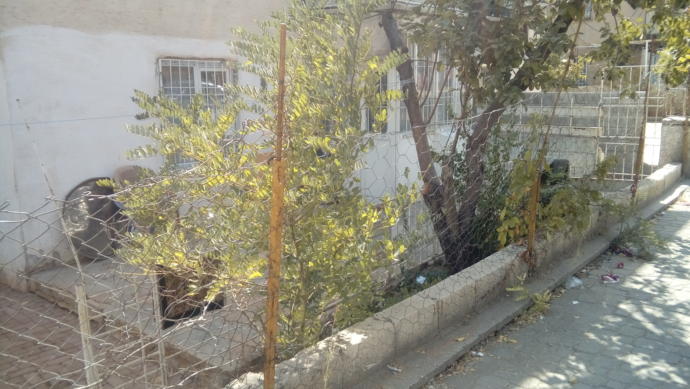 Çocukluğunuzun geçtiği evi/mahalleyi yıllar sonra ziyaret eder misiniz?