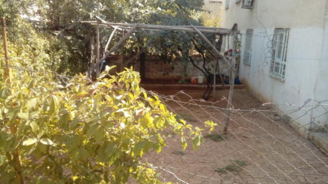 Çocukluğunuzun geçtiği evi/mahalleyi yıllar sonra ziyaret eder misiniz?