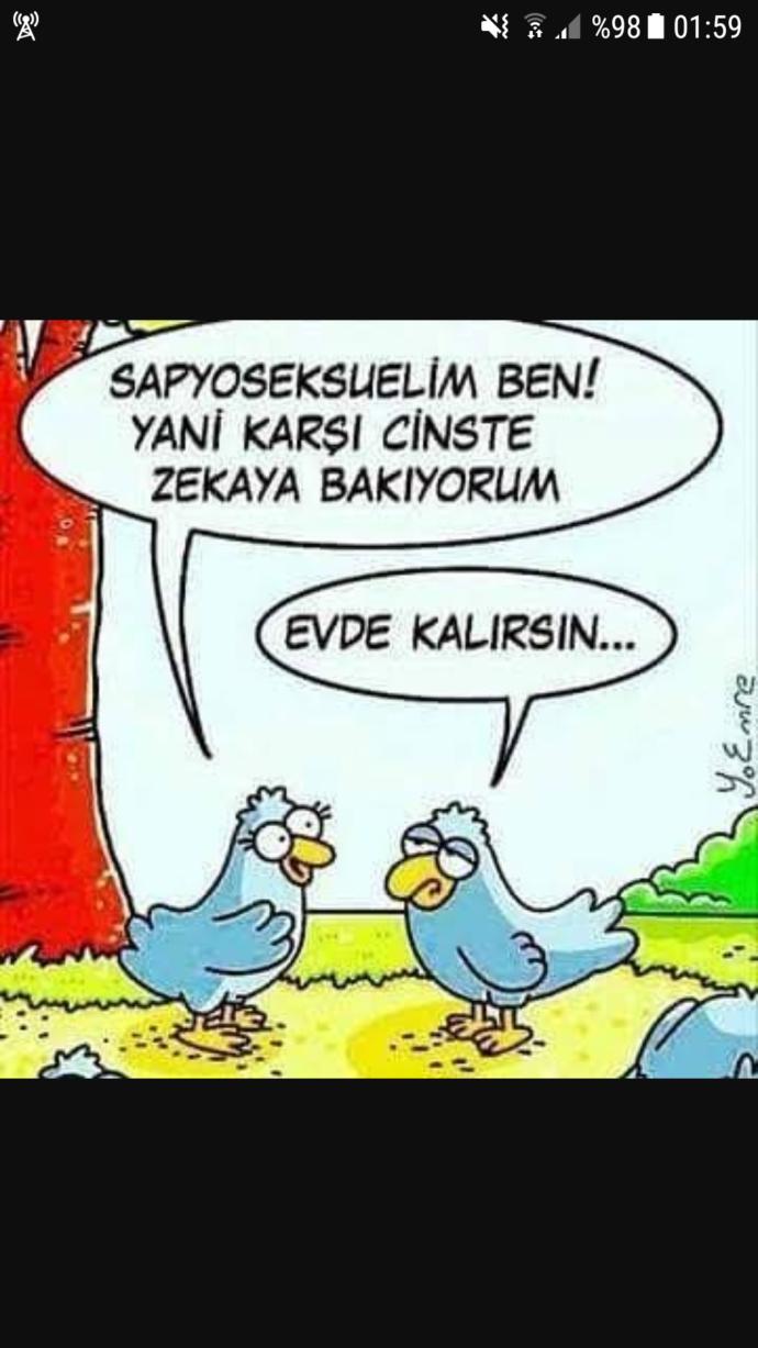 Sanırım ben Sapyoseksüelim, evde mi kalırım acaba?