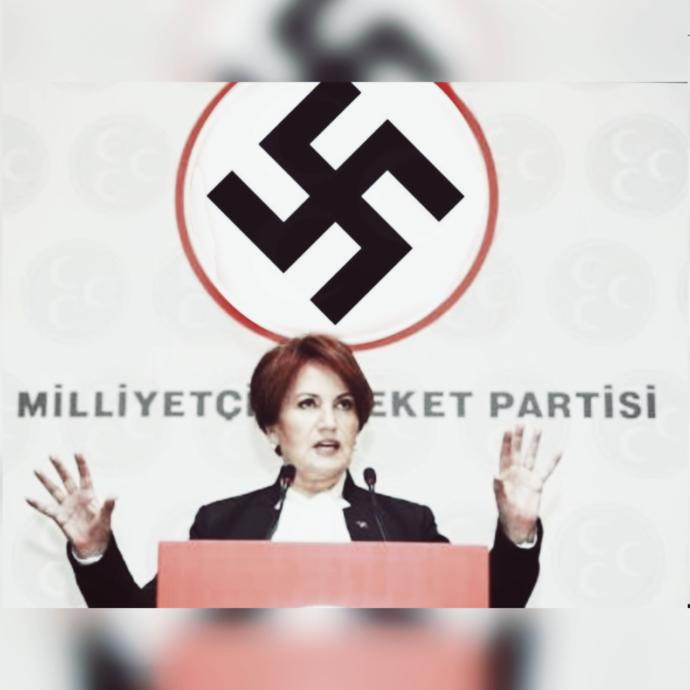 Meral Akşener Nasyonal sosyalist isci partisini kuracak.Oy verirmisiniz ?