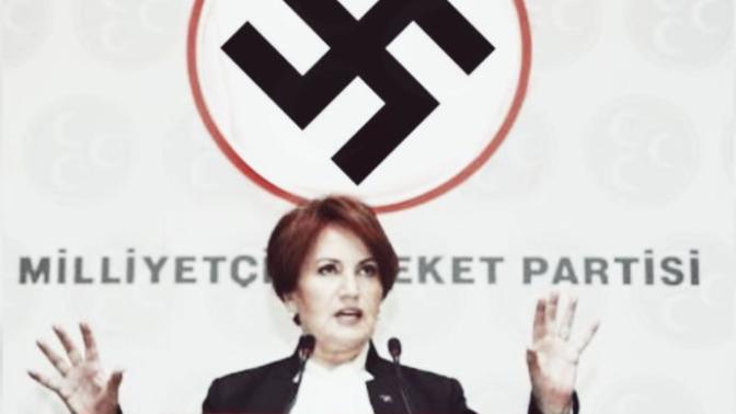 Meral Akşener Nasyonal sosyalist isci partisini kuracak. Oy verirmisiniz?