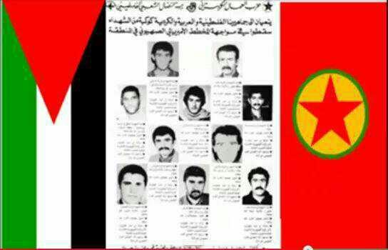 Filistin ve pkk ilişkisi hakkında ne düşünüyorsunuz ??