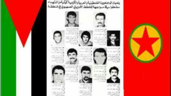 Filistin ve pkk ilişkisi hakkında ne düşünüyorsunuz?