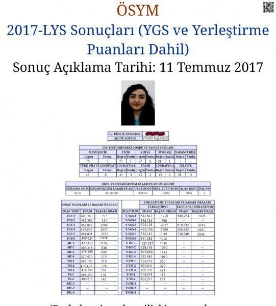 Gün geçmiyor ki ülkemizde bir troll olay daha yaşanmasın, bu konu hakkında ne düşünüyorsunuz?