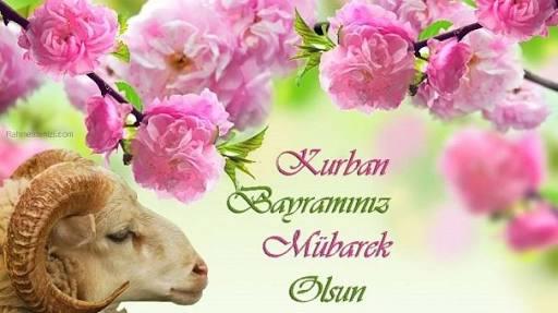 Eski sevgilinizle barışmak için nasıl bir bahane uydururdunuz?