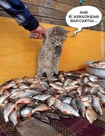 Eski sevgilinizle barışmak için nasıl bir bahane uydururdunuz?