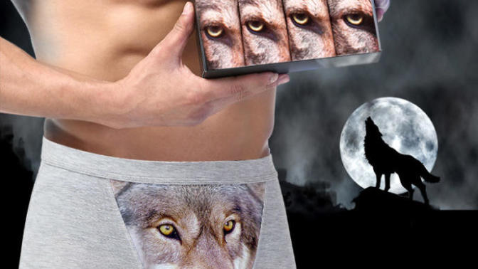 Arkadaşlar şu boxer nasıl?