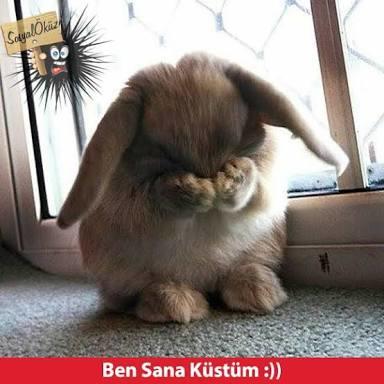 Küsmek nedir bilir misin? En çok sevdiğine mi küser insan yoksa en çok sevildiği kişiye mi?