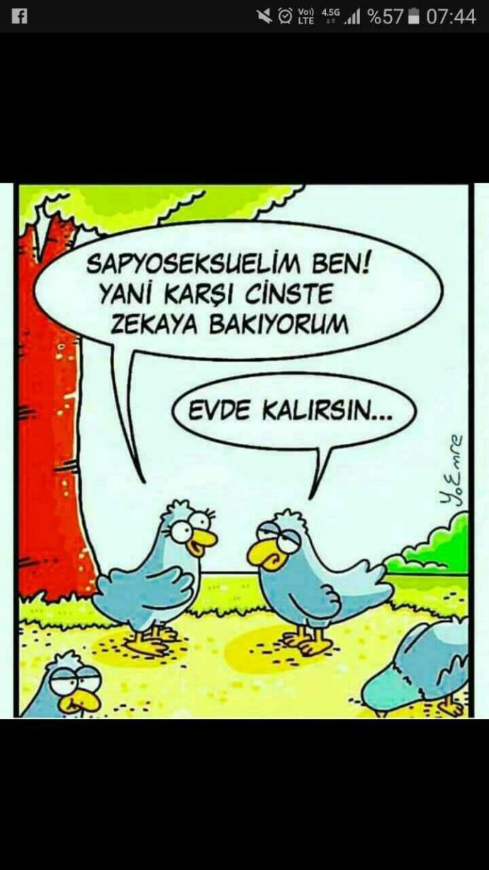 Karikatür ile aranız nasıl??