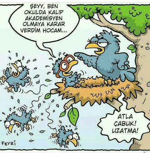 Karikatür ile aranız nasıl??