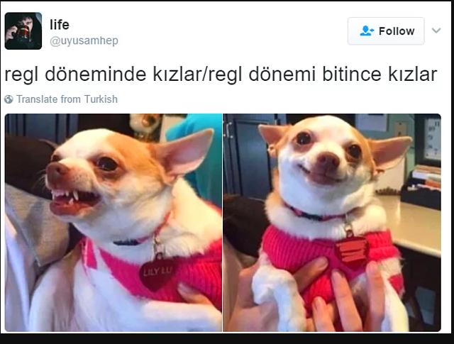 Kızlar regl döneminde gerçekten sinirli mi olurlar? Yoksa biraz abartıyorlar mı ne?
