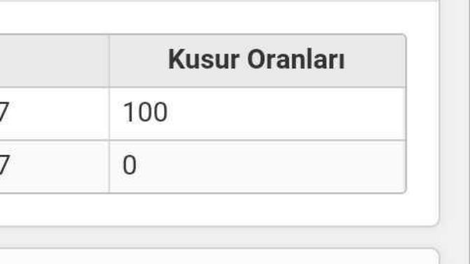 Kusur oranı 100 olan ödeyecek tüm masrafı dimi?