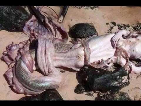 şahmeran efsanesine inanır mısınız, sizce doğrumu??