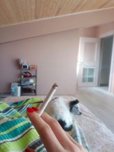 Ayhh bana çakmak lazım kim verir kız ayool?