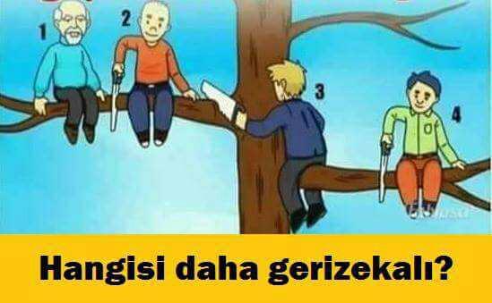 Sizce hangisi daha gerizekali ??