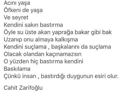 Cahit Zarifoglu'nu anlamak?