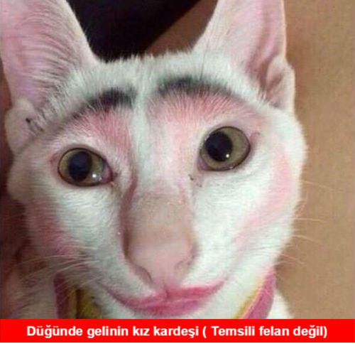 Düğünde gelinin kızkardeşi neden abartılı boyanır? 