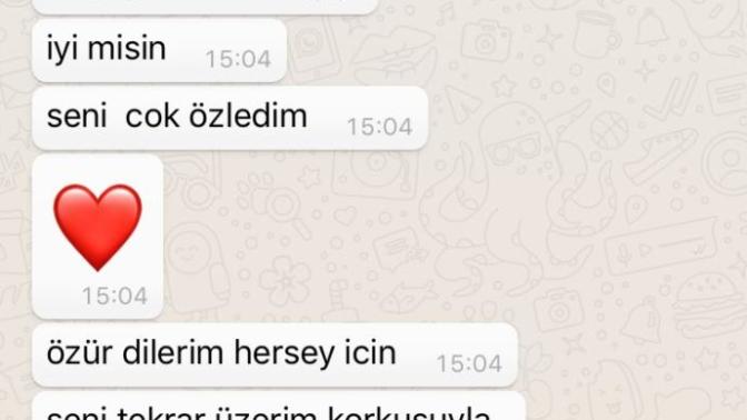 At gibi giden it gibi döner mi?