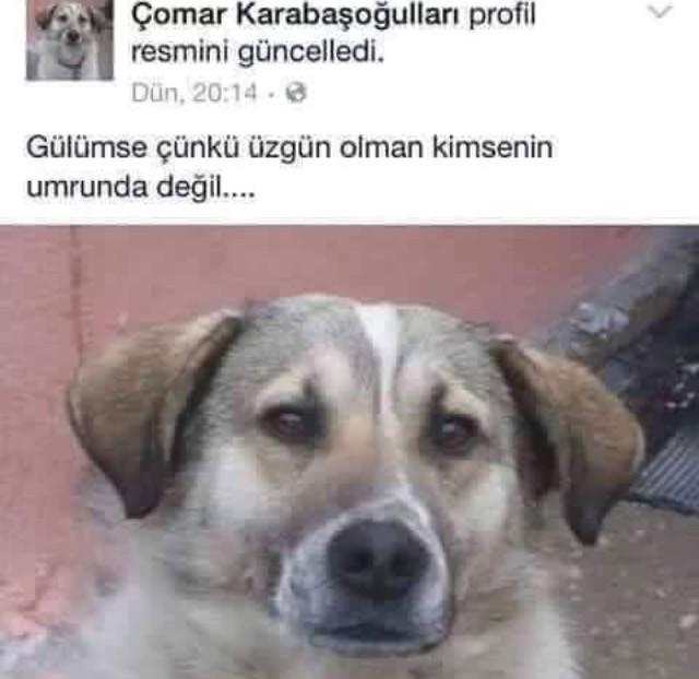 Üzgün olmanız kimin umrunda?
