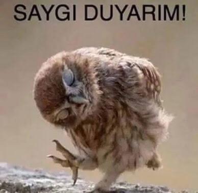 İnsan sevmediği bir kimseye, bir şeye saygı duyar mıı?