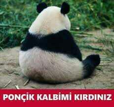 Ponçik kalbimi kırdılar, gebersinlermi??