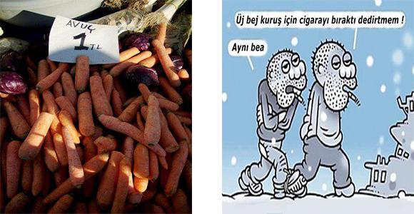 Sizce en güzel Şive hangisi ?