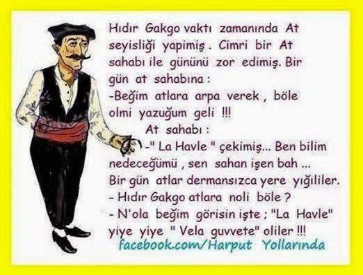 Sizce en güzel Şive hangisi ?