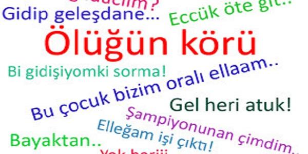 Sizce en güzel Şive hangisi ?