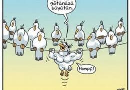 Spor yapıyor musunuz? Zayıflamak için fıtnesse mı yoksa dans kursunu mu tercih edersiniz? 