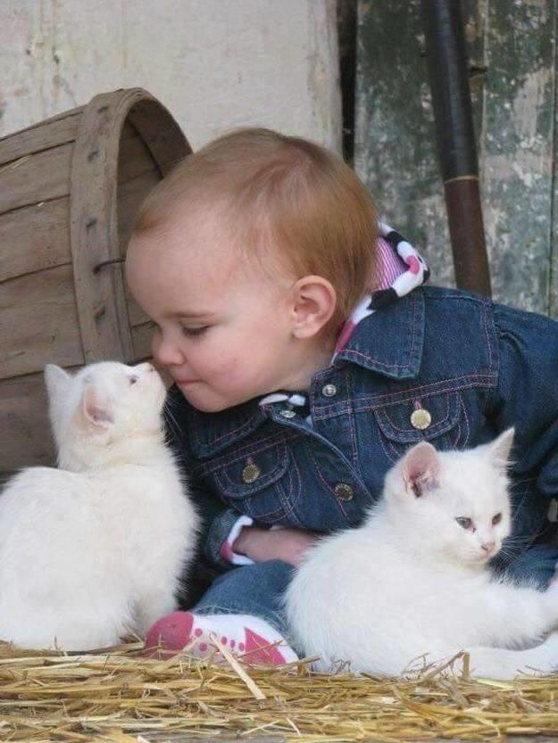 “Sadece sevgi dolu bir bakış, bir insanın hayatını değiştirebilir.”Diyen Osho ne kadar haklı sözünde?
