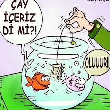 Bir gönülde İki sevda olur mu ?