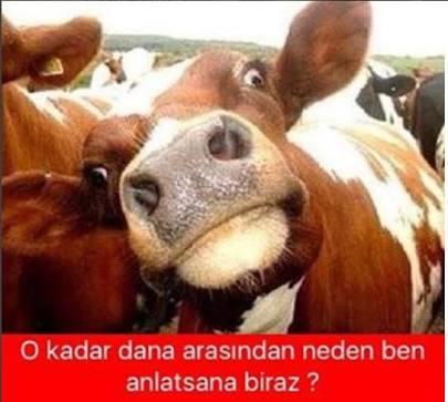 Flörtleştiğiniz kişi size "neden ben?" veya "niye benimle berabersin?" diye sorsa, cevabınız ne olurdu?