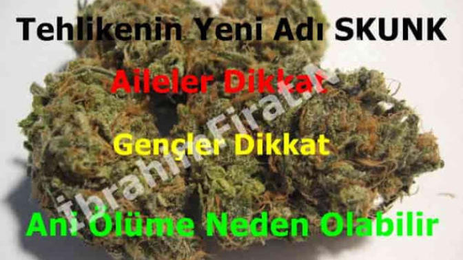 Skunk Nedir? Yeni Zehir ve Yeni Tehlike?