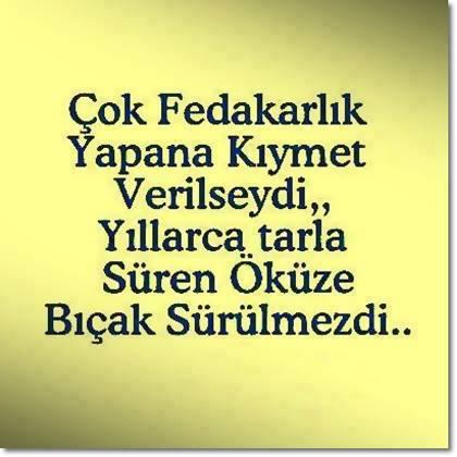 Yaptığınız iyiliklerin karşılığını beklediniz mi hiç ?
