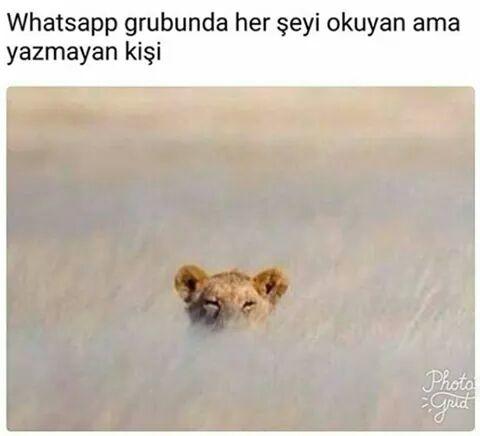 Whatsapta kaç grubunuz var ? Hepsinde muhabbete dahil misiniz?