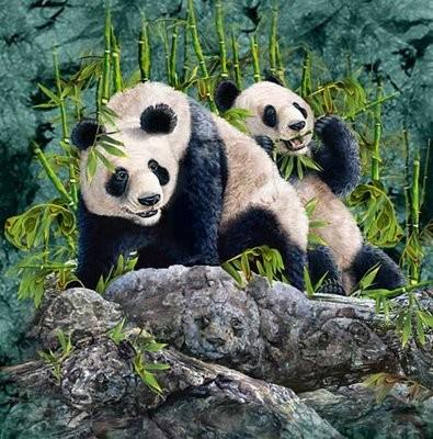Resimde kaç tane panda var :) ?