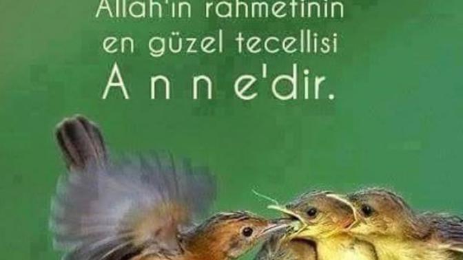 "Cennet annelerin ayakları altındadır". Annelerimizin istediğini yapıyor muyuz?