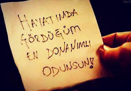 Samimi olduğum arkadaşlarım bana odun veya öküz diye hitap ediyor. Beni çok seviyorlar dimiiiii😌 🤔?