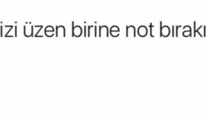 Hadi sizi üzenlere burdan bir not bırakın?