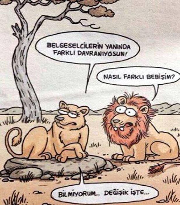 Eşinin sözünden çıkmayan bir erkek sizce kılıbık mı, yoksa anlayışlı biri midir?