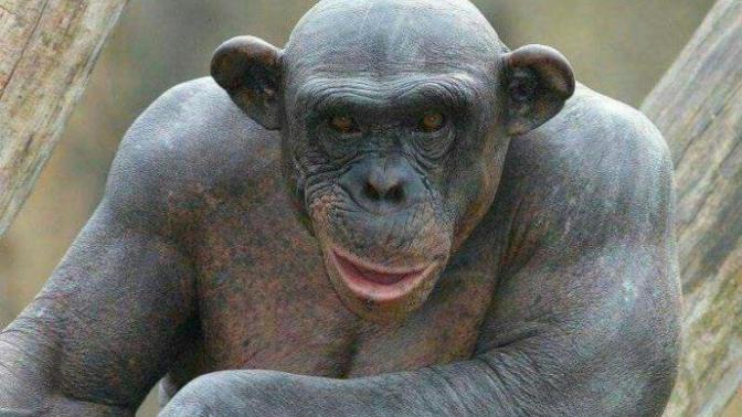 Arkadaşlar hacı yağı parfümü kokusu nasıl geçer çıkmıyor lanet şey?