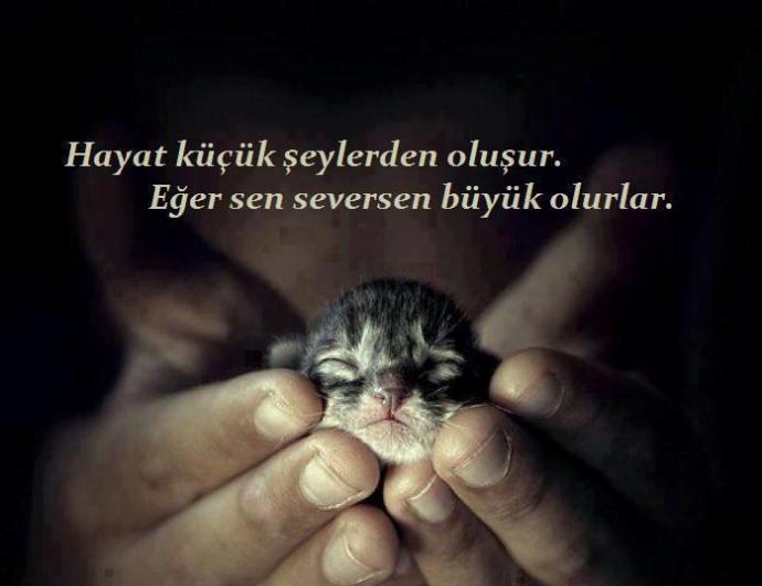 En gerçek ve koşulsuz sevgi annelerinin çocuklarına beslediğiymiş. Siz birisini koşulsuz sevebilir misiniz?