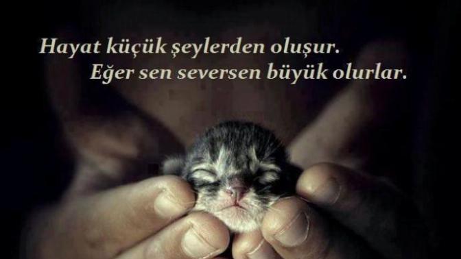 En gerçek ve koşulsuz sevgi annelerinin çocuklarına beslediğiymiş. Siz birisini koşulsuz sevebilir misiniz?