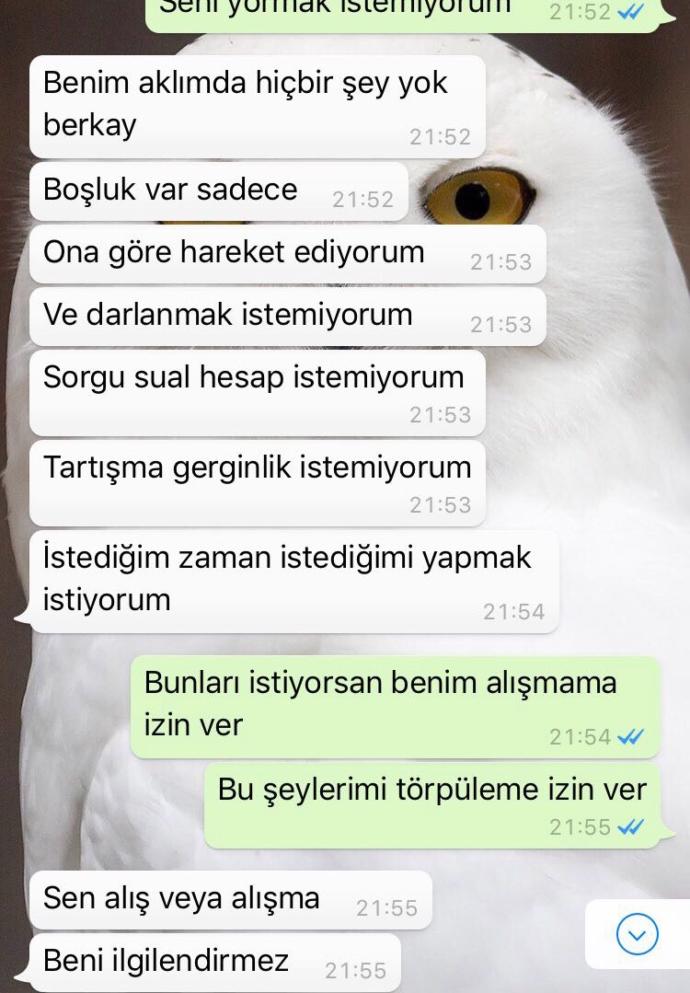 Sizce bu mesajlardan sonrA geri döner mi ?? Gitmem diyip çekip gitmek nedir ?