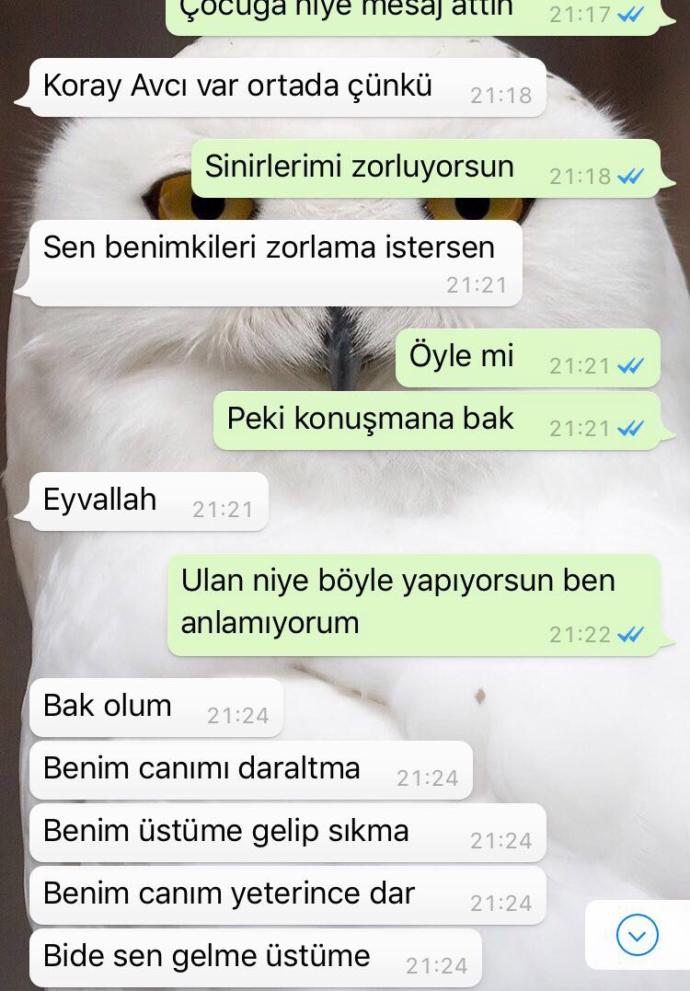 Sizce bu mesajlardan sonrA geri döner mi ?? Gitmem diyip çekip gitmek nedir ?