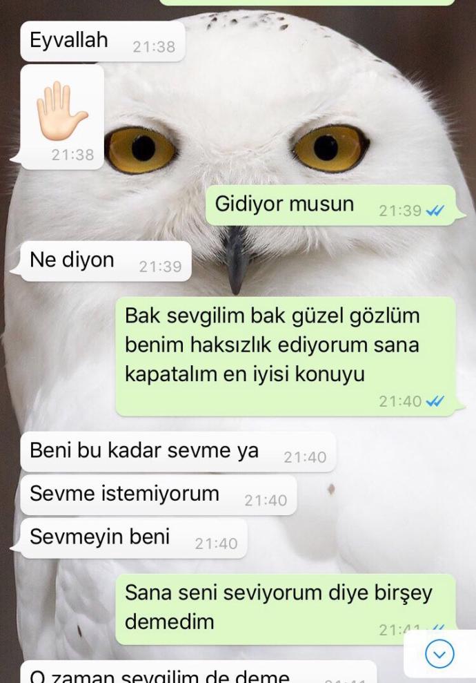Sizce bu mesajlardan sonrA geri döner mi ?? Gitmem diyip çekip gitmek nedir ?
