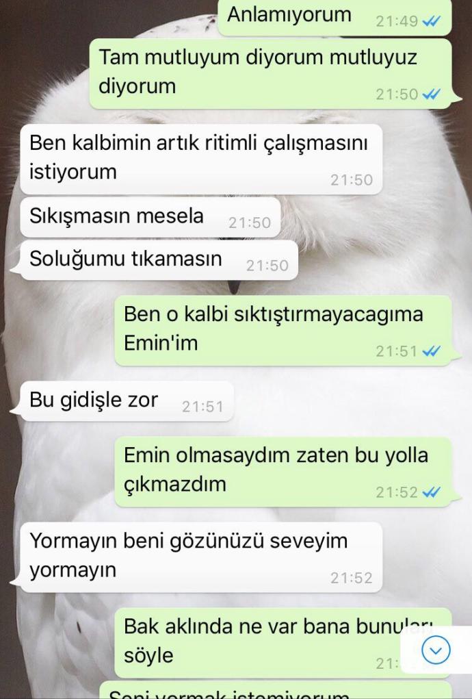 Sizce bu mesajlardan sonrA geri döner mi ?? Gitmem diyip çekip gitmek nedir ?