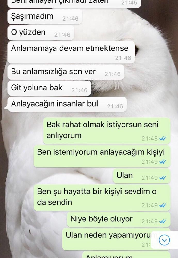 Sizce bu mesajlardan sonrA geri döner mi ?? Gitmem diyip çekip gitmek nedir ?